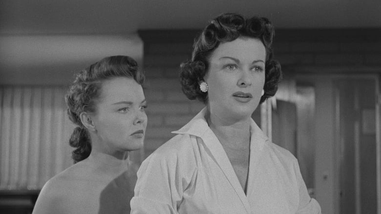 кадр из фильма Розыск на шоссе