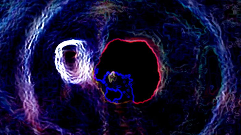 кадр из фильма A Goiva