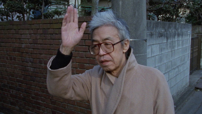 全身小説家