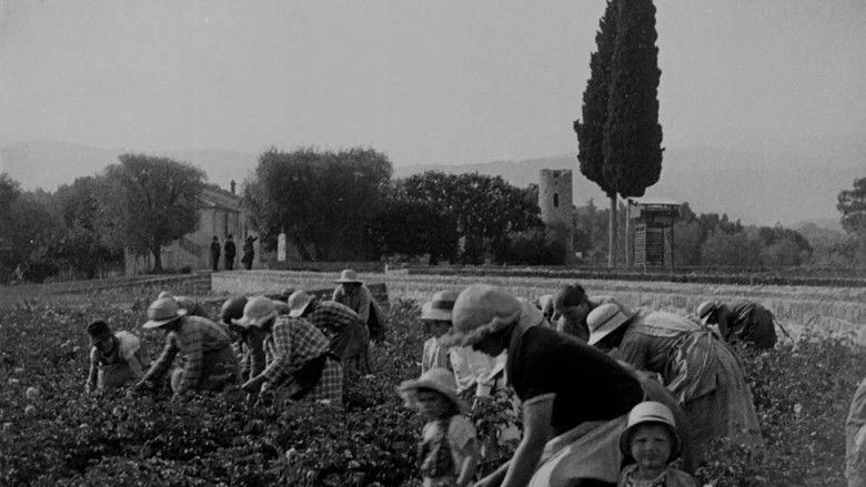 кадр из фильма Dictionnaire amoureux du parfum