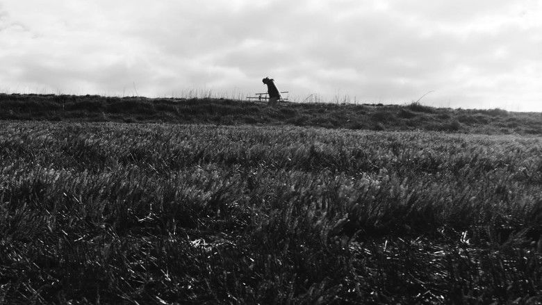 кадр из фильма Landscaper