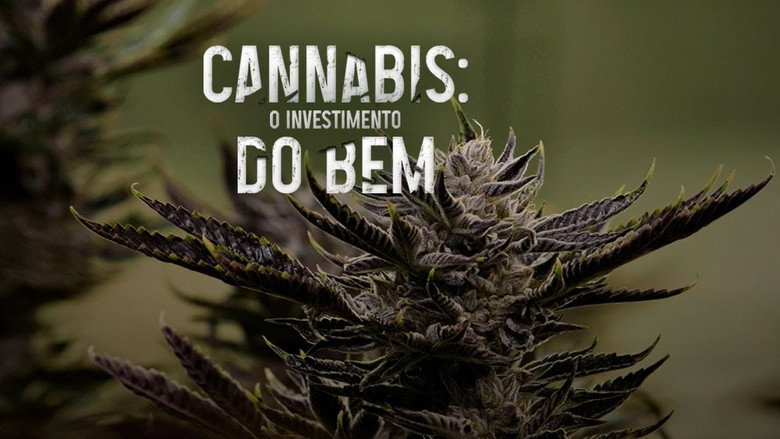 кадр из фильма Cannabis: O Investimento do Bem