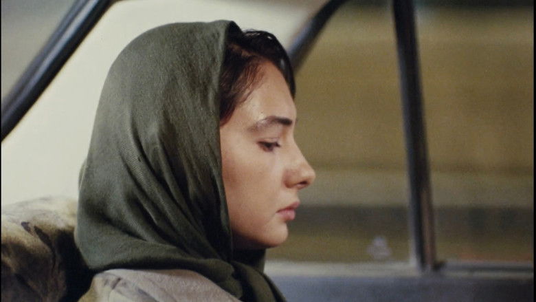 кадр из фильма شب‌های روشن