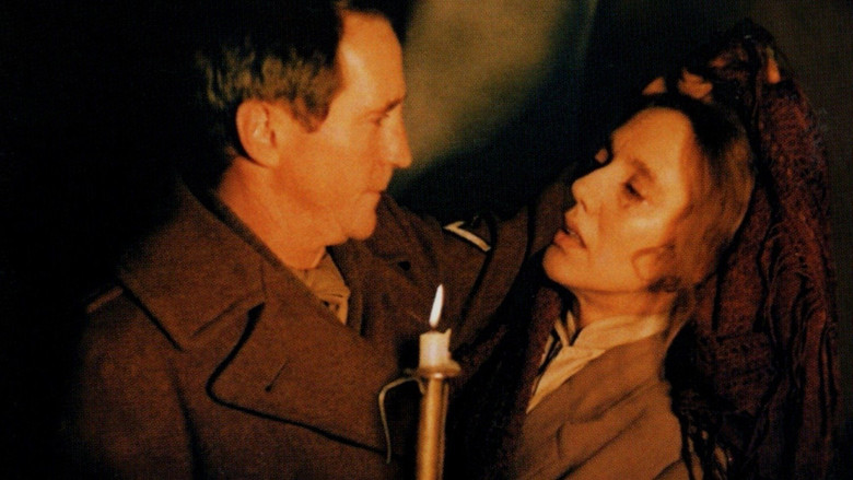 кадр из фильма Год спокойного солнца