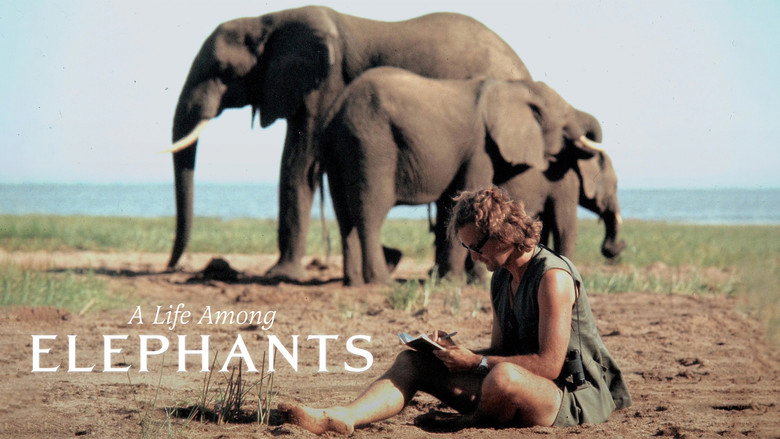 кадр из фильма A Life Among Elephants