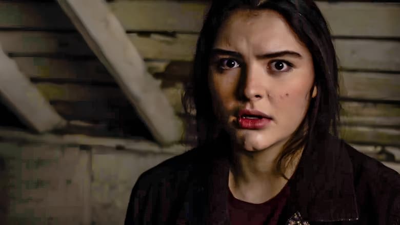 кадр из фильма Амитивилль: Где живёт эхо