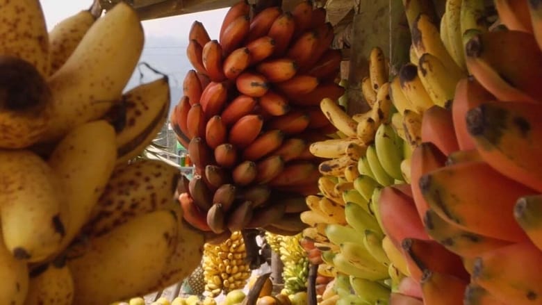 кадр из фильма Banana Land: Blood, Bullets & Poison