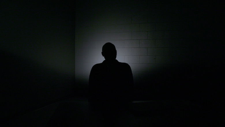 кадр из фильма My Schizoaffective Documentary