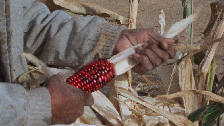 Techqua Ikachi, Land – mein Leben