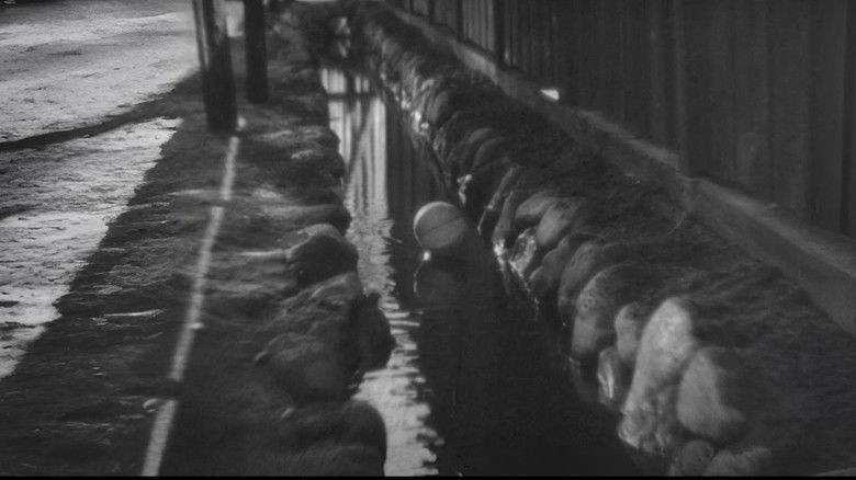 кадр из фильма Человечность и бумажные шары