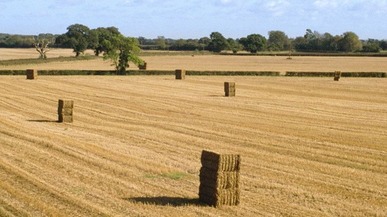 кадр из фильма Robinson in Ruins