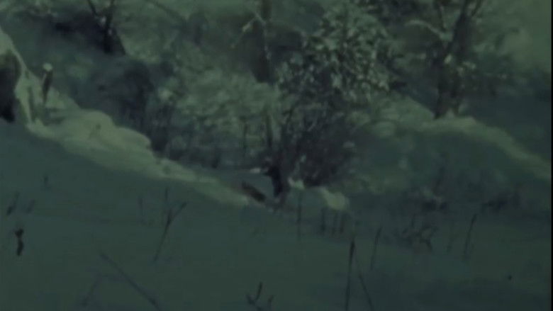 кадр из фильма Dog Star Man: Part I