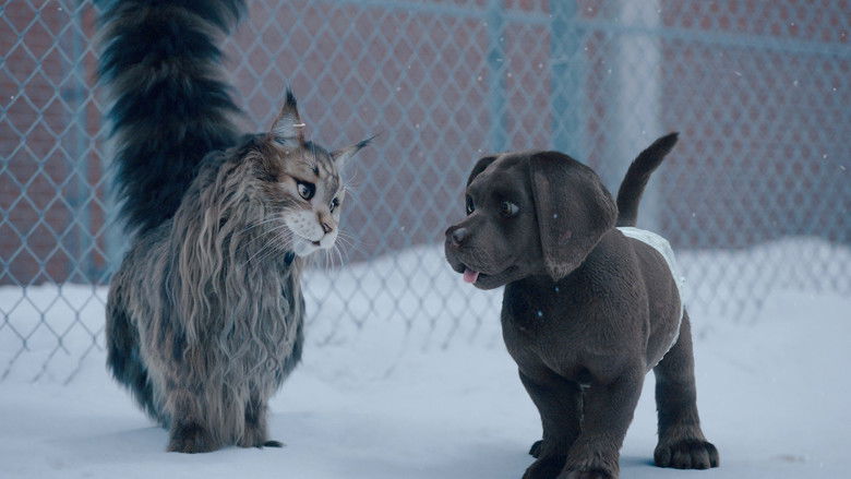 кадр из фильма Кот и пёс