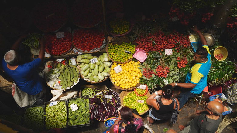 кадр из фильма Mauritius - Die Fernwehmacher unterwegs im Tropenparadies