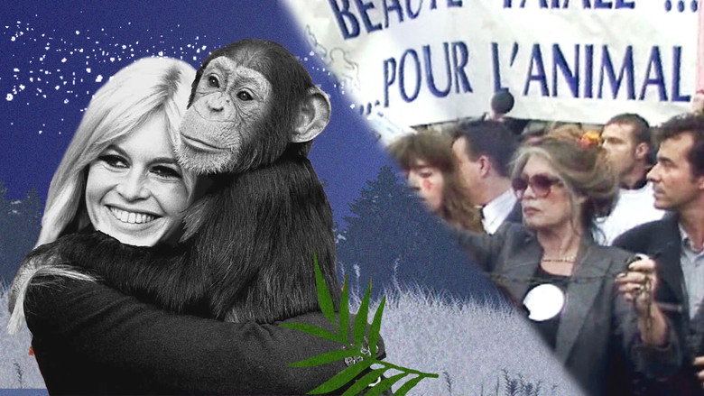 Brigitte Bardot, le serment fait aux animaux