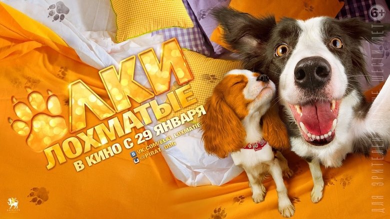 кадр из фильма Ёлки лохматые