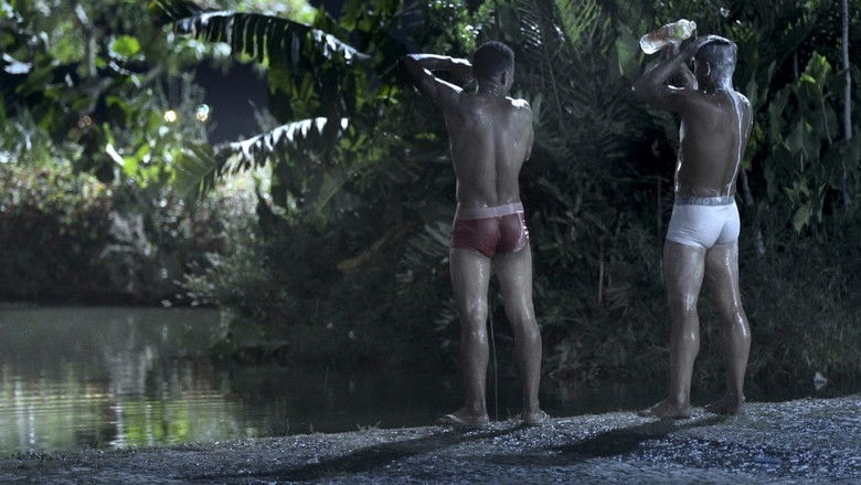 кадр из фильма Lucciole