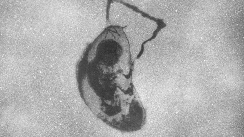 кадр из фильма Rain, Rain, Go Away