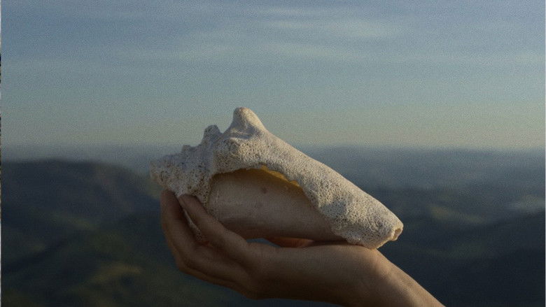 кадр из фильма O silêncio elementar