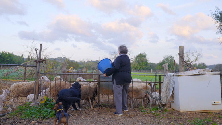 кадр из фильма Ca Nostra