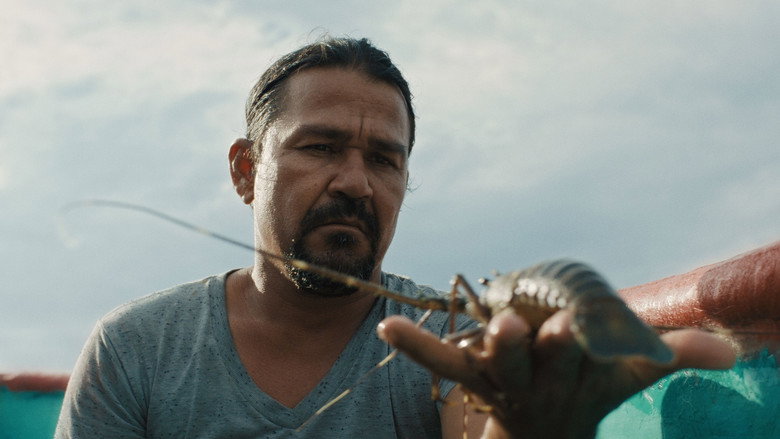кадр из фильма Pescador