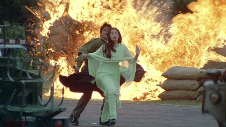 кадр из фильма Любовь с первого взгляда