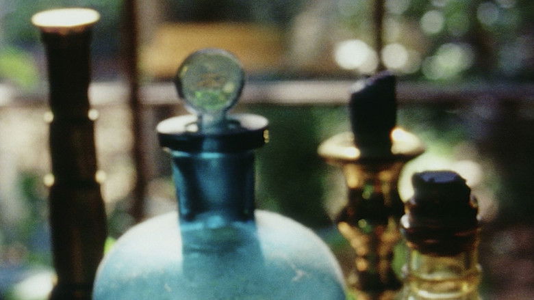 кадр из фильма What Places of Heaven, What Planets Directed, How Long the Effects? or, The General Accidents of the World