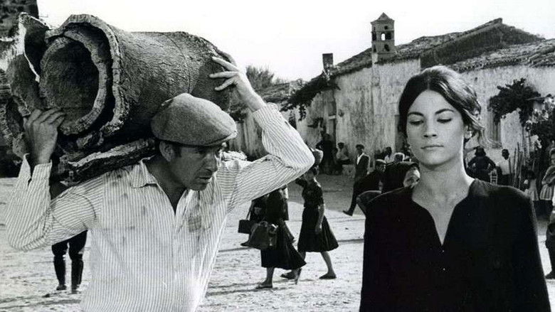 кадр из фильма Вопрос чести