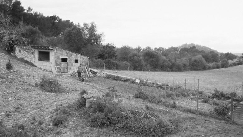 кадр из фильма Estimada Sa Bastida