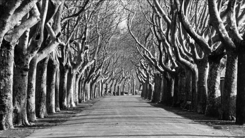 кадр из фильма Женщина озера