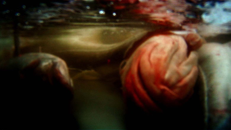 кадр из фильма Левиафан