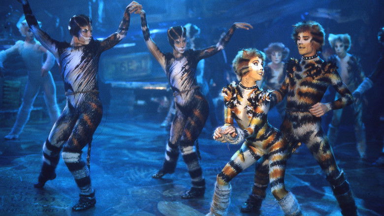 кадр из фильма Кошки