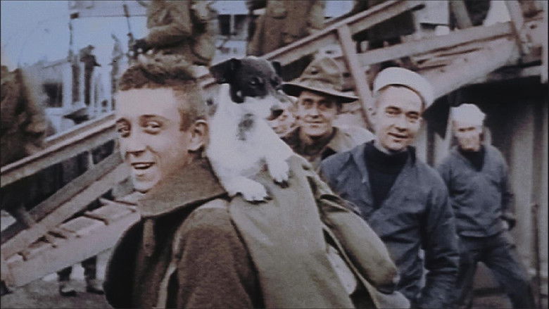 кадр из фильма Les Américains dans la Grande Guerre : 1917-1918