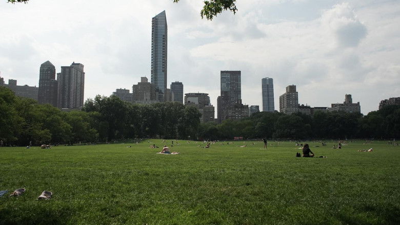 The Voices of New York