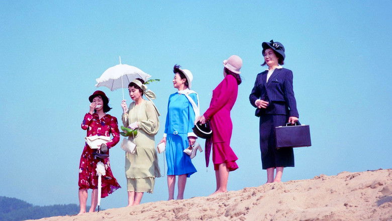 кадр из фильма 第七官界彷徨 尾崎翠を探して