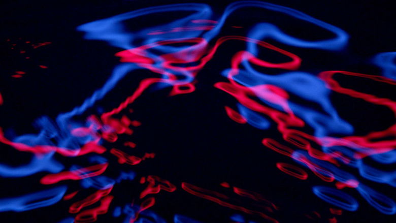 кадр из фильма Photosynthesis