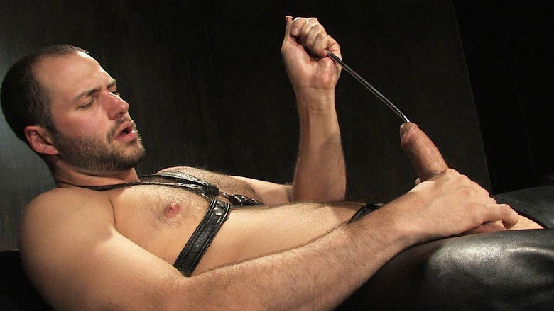 кадр из фильма Hardcore Fetish Series: Sounding #4