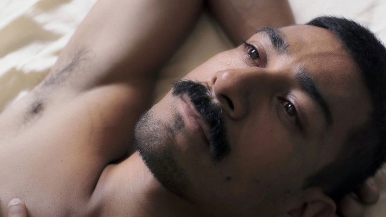 кадр из фильма Pornomelancolía