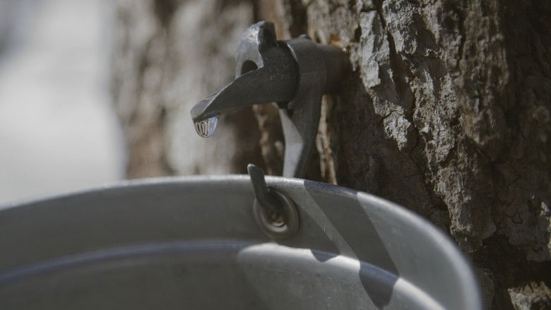 кадр из фильма Le goût d'un pays