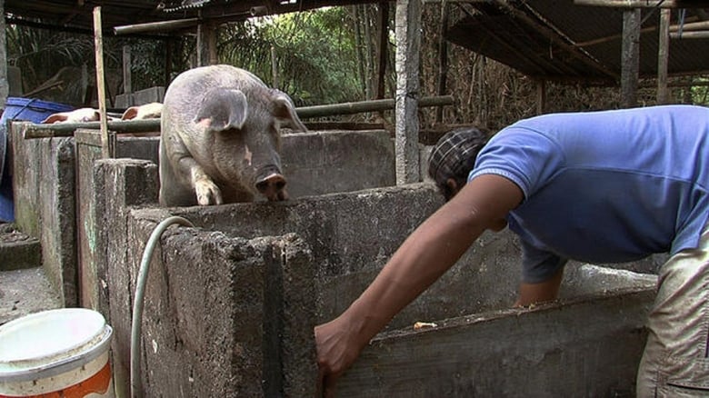 кадр из фильма Denok & Gareng