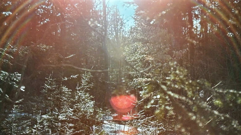 кадр из фильма The Oxbow Cure