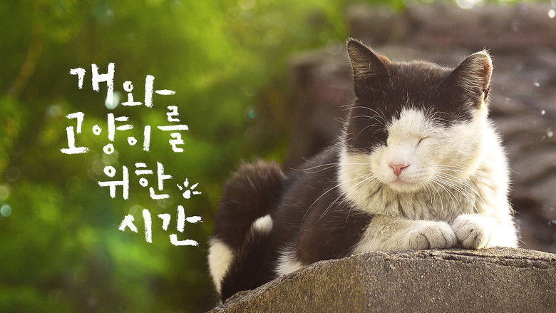 кадр из фильма 개와 고양이를 위한 시간