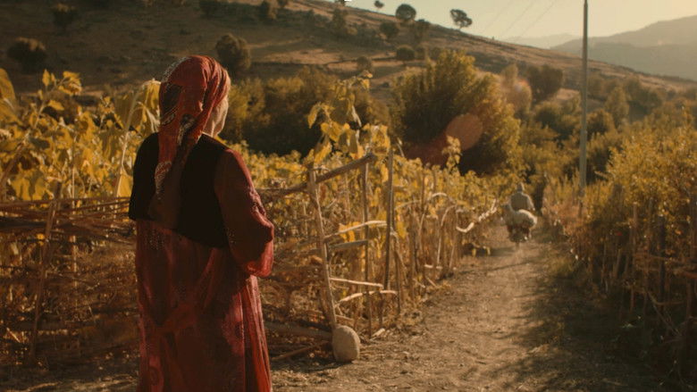 кадр из фильма غەریبانە لەم خۆشبەختییە دەڕوانم