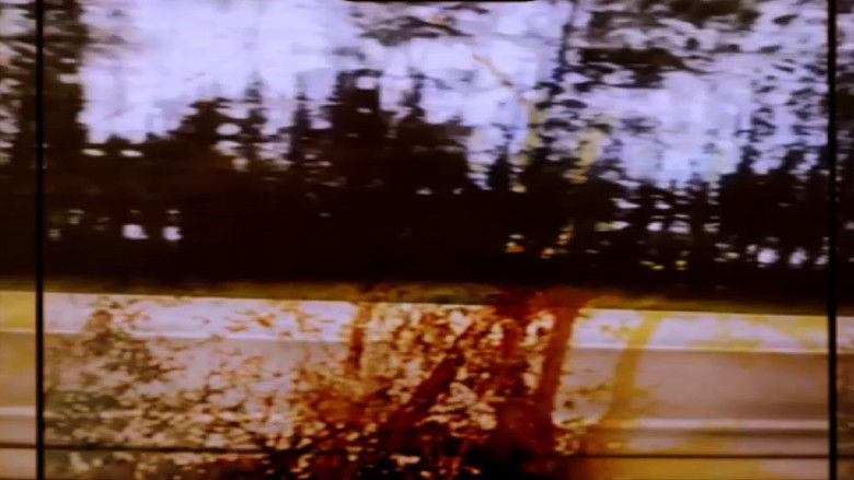 кадр из фильма Grasping The Stance Of Witness