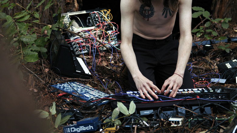 кадр из фильма BIOMES