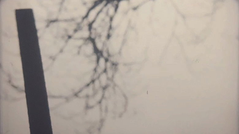 кадр из фильма Your Death is My Delight