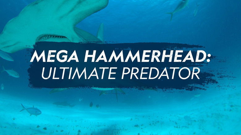 кадр из фильма Mega Hammerhead: Ultimate Predator