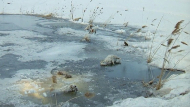 кадр из фильма Ավետիք