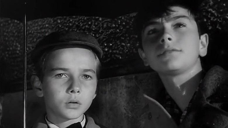 кадр из фильма Amici per la pelle