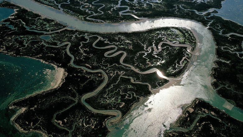 кадр из фильма Реки